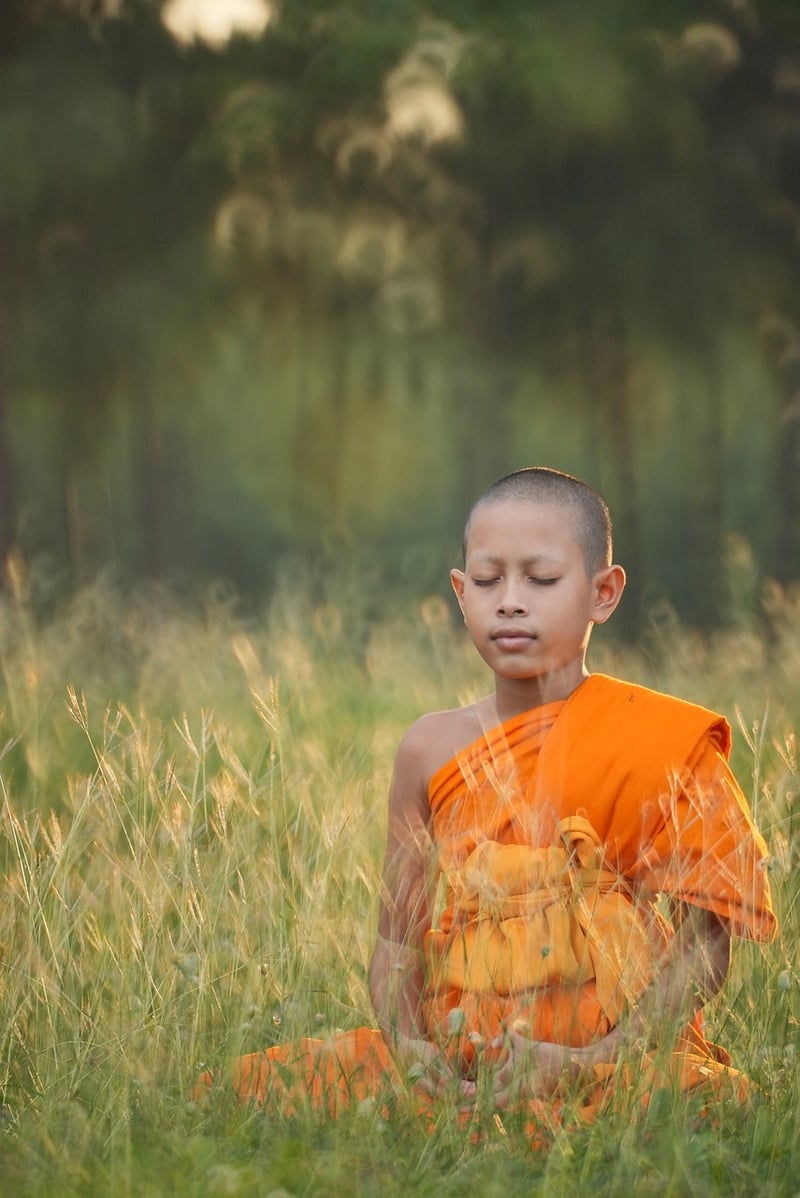 Meditation and Mindfulness